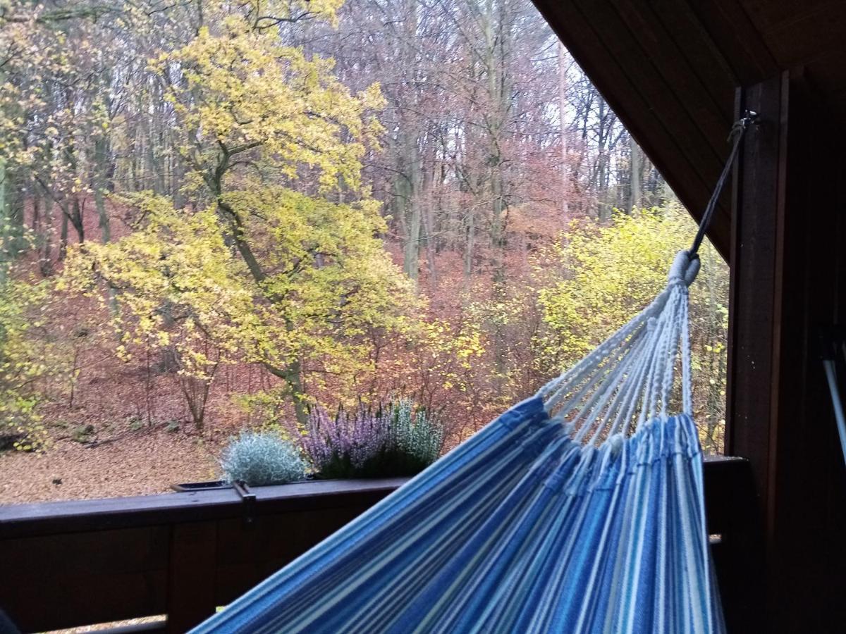 Ferienwohnung Haus am Wald Klingberg Exterior foto