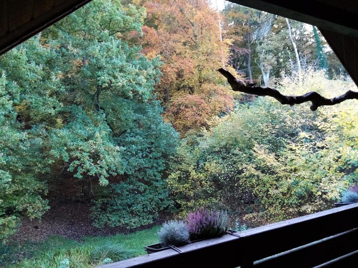 Ferienwohnung Haus am Wald Klingberg Exterior foto