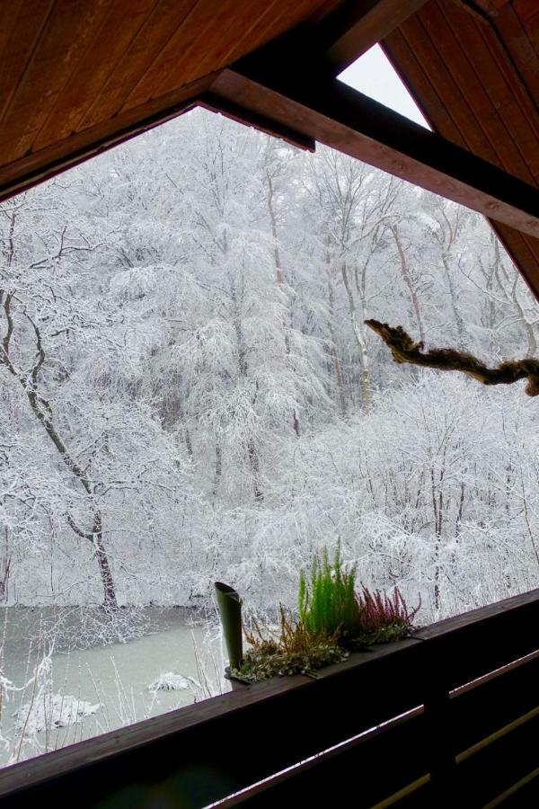 Ferienwohnung Haus am Wald Klingberg Exterior foto